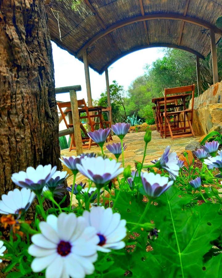 Marettimo Residence 4*